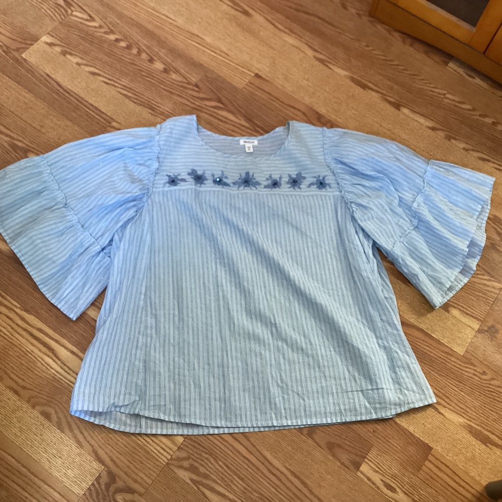 Westport Blue & Sliver Metallic Striped Beaded Floral Blouse   Size 3X